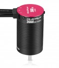 Hobbywing Motor QuicRun 3660SL 3150kV G2 Sensorless 1/10 (5mm Shaft) thumbnail