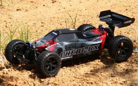 BSD Chebi 213R/T