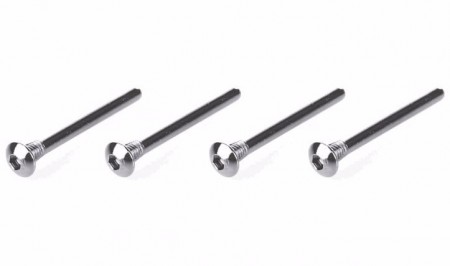 Screw Hinge Pin 2,5x28,2mm (4)