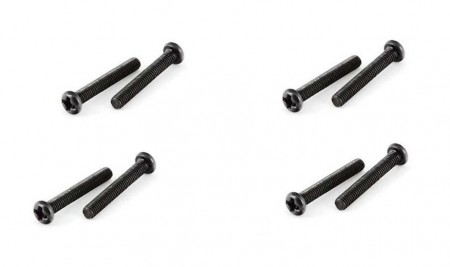 WL-104308.1389 M3x20mm Round Head Screws (10)